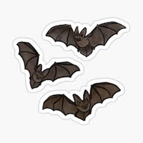 Show details for Crown Shape