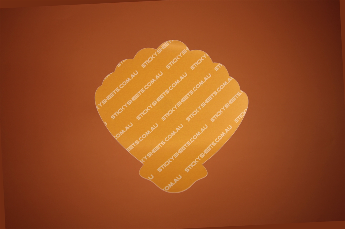 Show details for Clamshell Shape