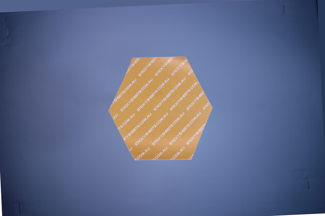 Show details for Polygon Shape